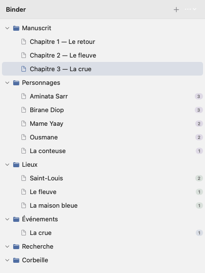 Le classeur de Mendelarbre : manuscrit, personnages, lieux et événements organisés en dossiers